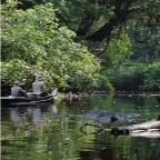 IMGP0051