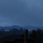 IMGP2281