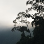 IMGP9071