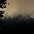 IMGP9076